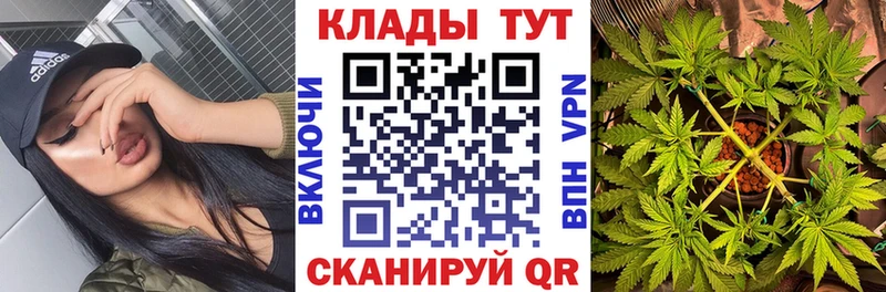 Купить наркотики сайты Подпорожье Псилоцибиновые грибы  АМФЕТАМИН  Гашиш  Марихуана  Кокаин  Метамфетамин  СОЛЬ 