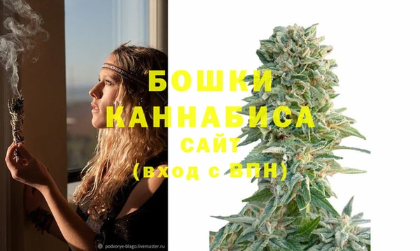 спиды Майский